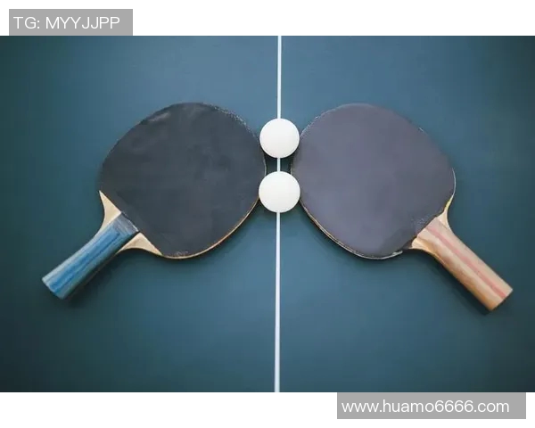 实时新闻乒乓球装备选购指南精选优质球拍推荐助你提升球技