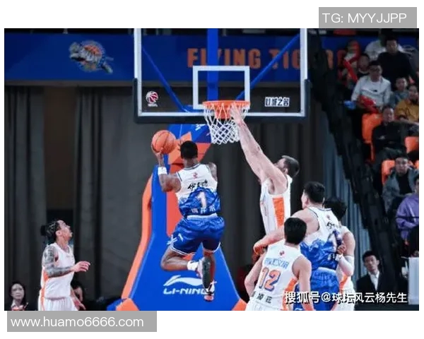 实时新闻深圳排球队技术深度解析从基本功到战术运用的全面探讨